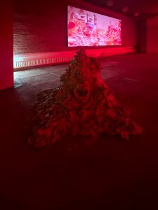 Eröffnung Mutuogenesis im KGM